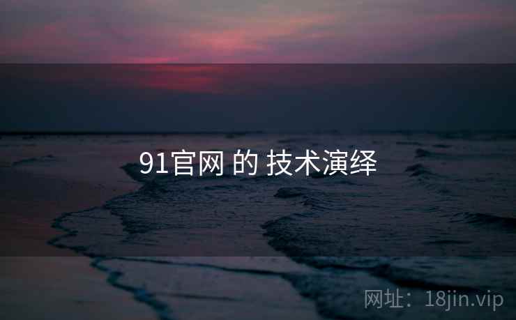 91官网 的 技术演绎
