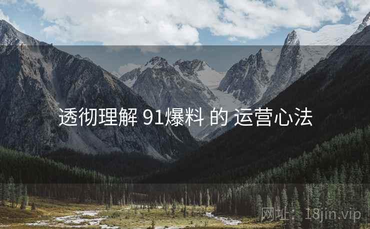 透彻理解 91爆料 的 运营心法