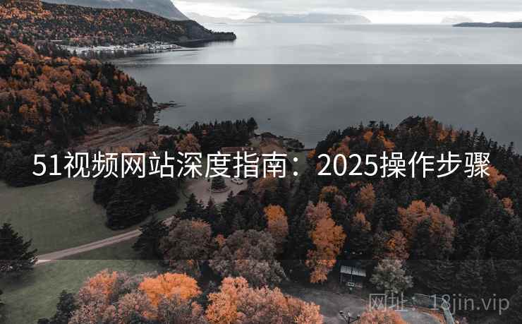 51视频网站深度指南：2025操作步骤