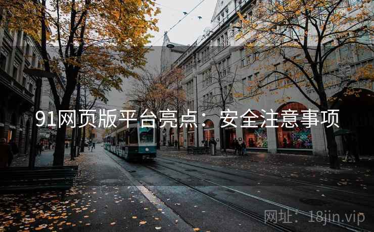 91网页版平台亮点：安全注意事项