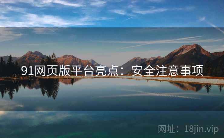 91网页版平台亮点：安全注意事项