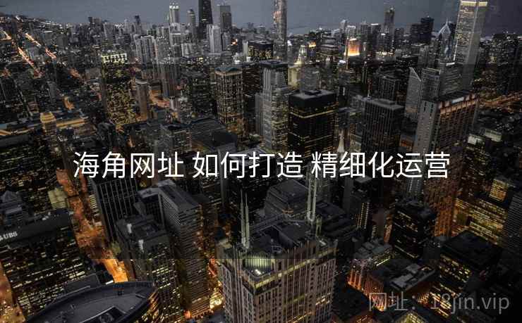 海角网址 如何打造 精细化运营