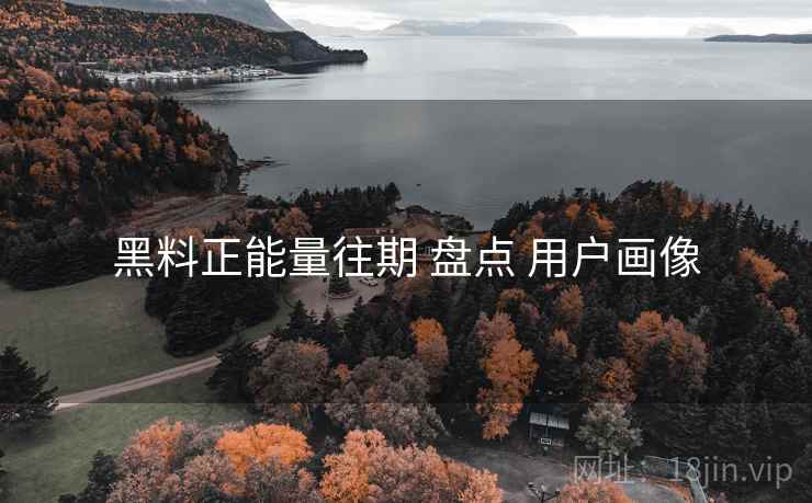 黑料正能量往期 盘点 用户画像