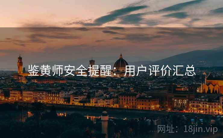 鉴黄师安全提醒：用户评价汇总