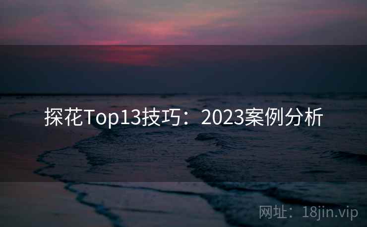 探花Top13技巧：2023案例分析