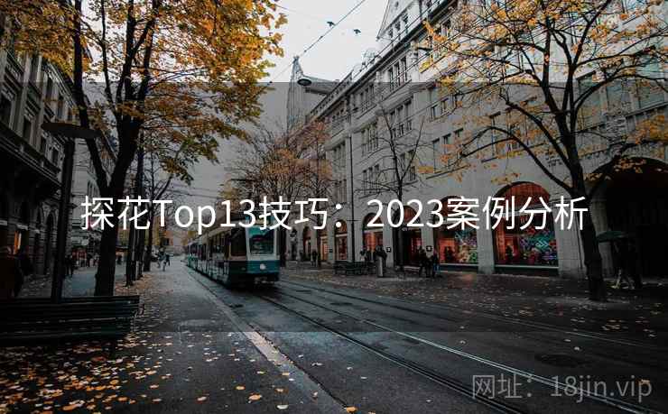 探花Top13技巧：2023案例分析