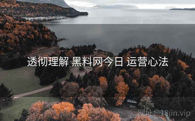 透彻理解 黑料网今日 运营心法