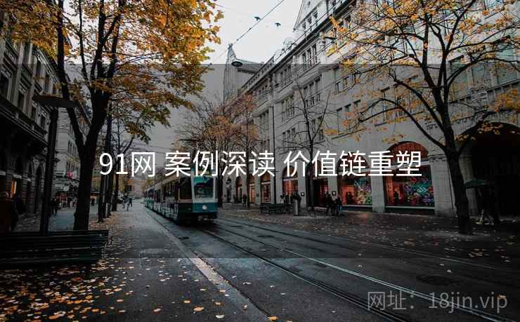 91网 案例深读 价值链重塑