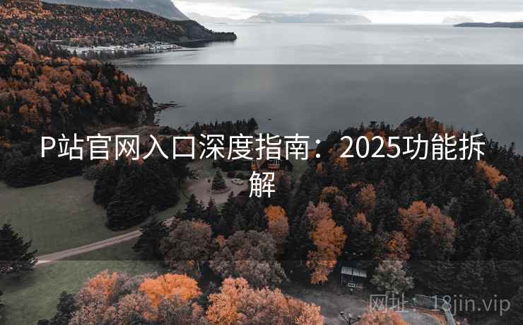 P站官网入口深度指南：2025功能拆解