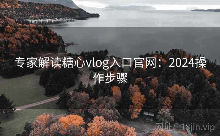 专家解读糖心vlog入口官网：2024操作步骤