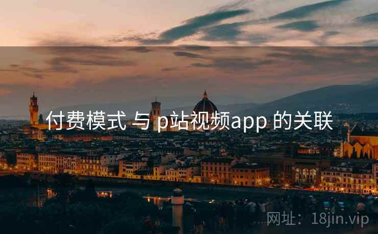付费模式 与 p站视频app 的关联