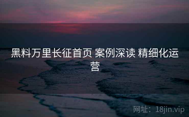 黑料万里长征首页 案例深读 精细化运营