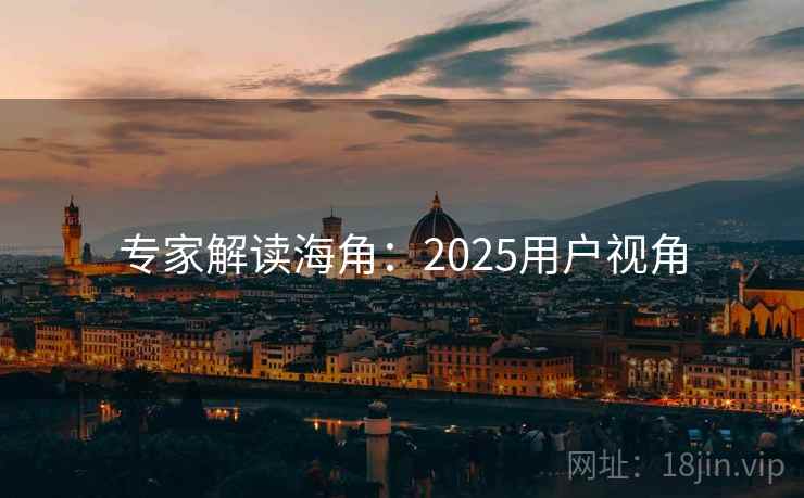 专家解读海角：2025用户视角