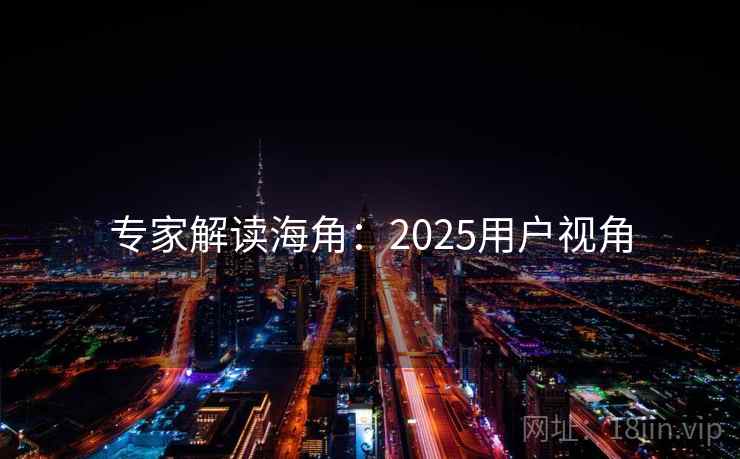 专家解读海角：2025用户视角