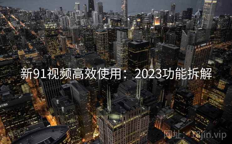 新91视频高效使用：2023功能拆解
