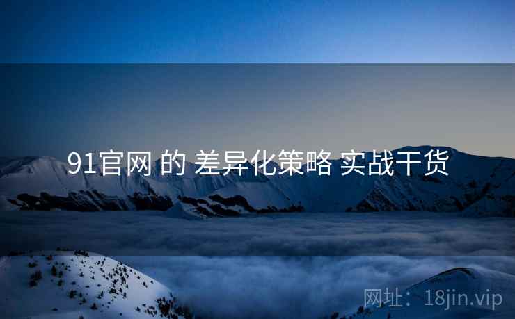 91官网 的 差异化策略 实战干货