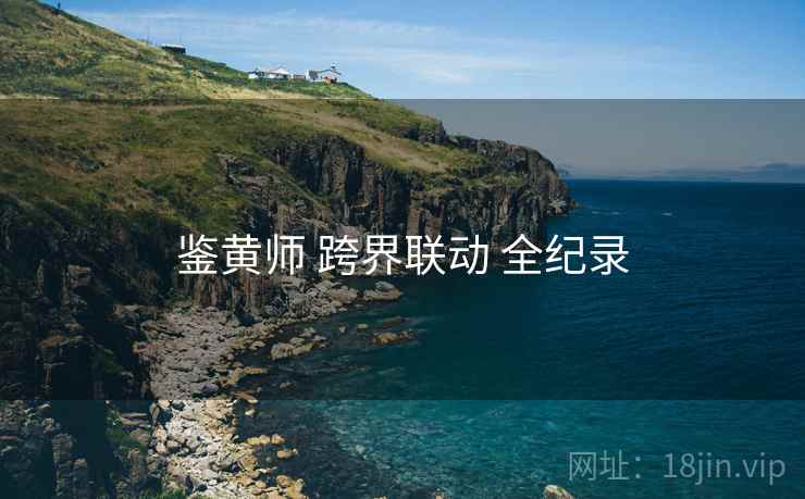 鉴黄师 跨界联动 全纪录