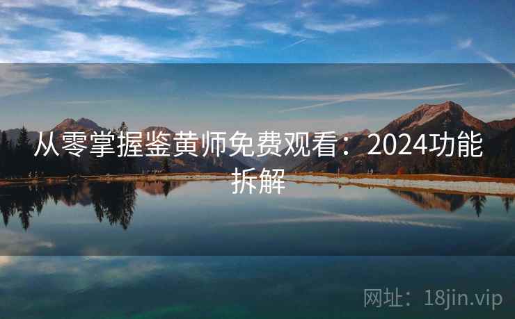 从零掌握鉴黄师免费观看：2024功能拆解