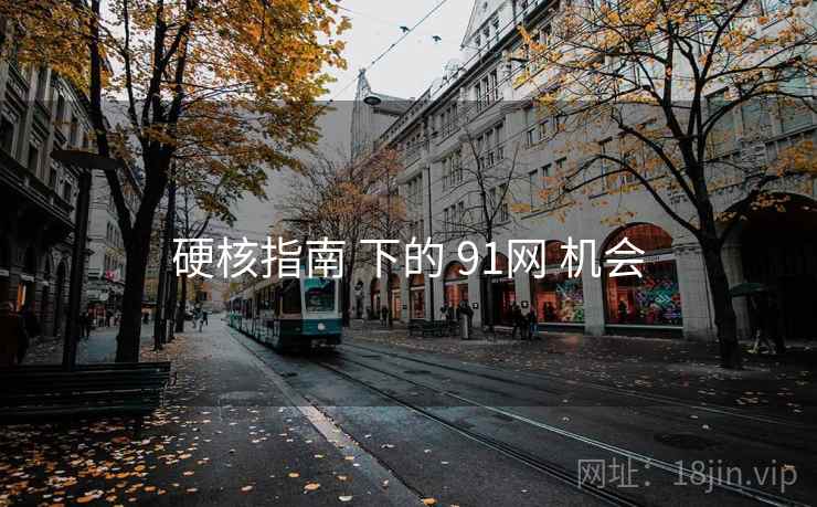 硬核指南 下的 91网 机会