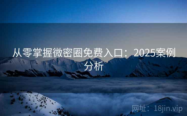 从零掌握微密圈免费入口：2025案例分析